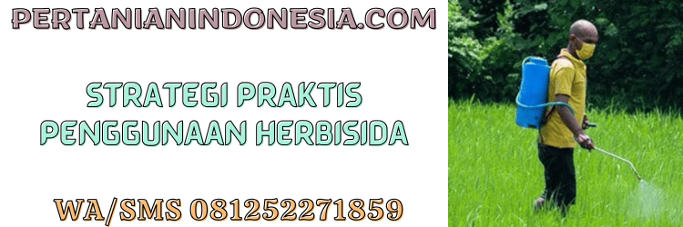 strategi,praktis,penggunaan,gulma,rumput liar,pertanian indonesia